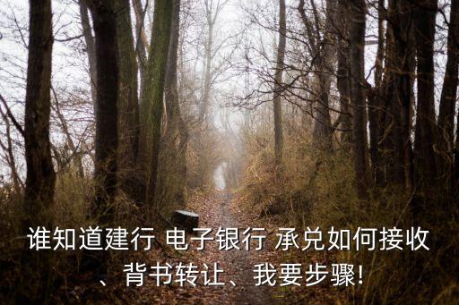 誰知道建行 電子銀行 承兌如何接收、背書轉(zhuǎn)讓、我要步驟!