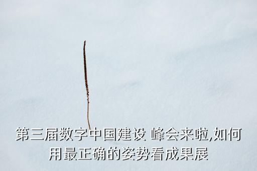 第三屆數(shù)字中國建設(shè) 峰會(huì)來啦,如何用最正確的姿勢看成果展