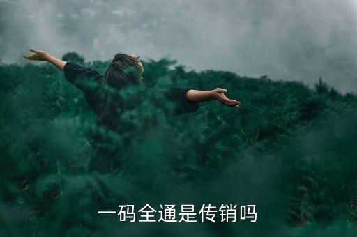 一碼全通是傳銷(xiāo)嗎
