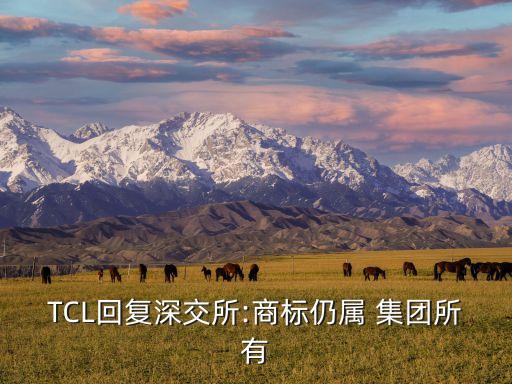 TCL回復(fù)深交所:商標(biāo)仍屬 集團所有