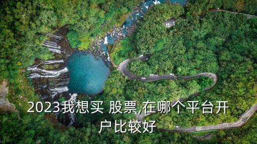 2023我想買 股票,在哪個(gè)平臺(tái)開戶比較好