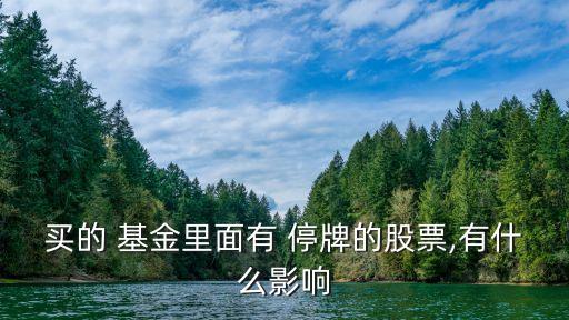 買(mǎi)的 基金里面有 停牌的股票,有什么影響
