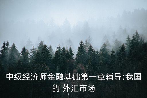 中級(jí)經(jīng)濟(jì)師金融基礎(chǔ)第一章輔導(dǎo):我國的 外匯市場