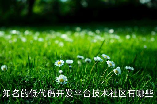 知名的低代碼開(kāi)發(fā)平臺(tái)技術(shù)社區(qū)有哪些