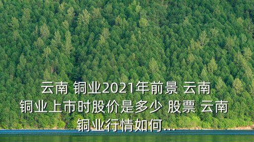  云南 銅業(yè)2021年前景 云南 銅業(yè)上市時股價(jià)是多少 股票 云南 銅業(yè)行情如何...