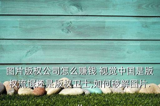 圖片版權(quán)公司怎么賺錢 視覺中國(guó)是版權(quán)流氓還是版權(quán)衛(wèi)士,如何破解圖片...