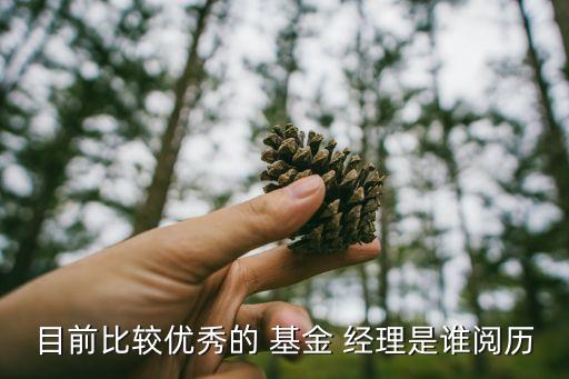 目前比較優(yōu)秀的 基金 經理是誰閱歷