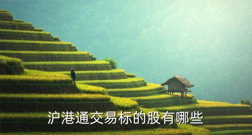 上?？菩窆善?上海建科股票發(fā)行價是多少