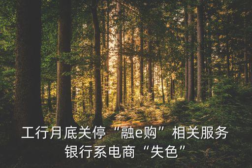  工行月底關(guān)?！叭趀購(gòu)”相關(guān)服務(wù) 銀行系電商“失色”