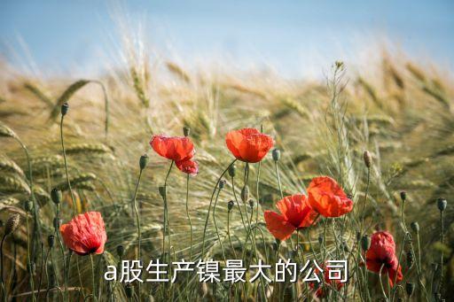 a股生產鎳最大的公司