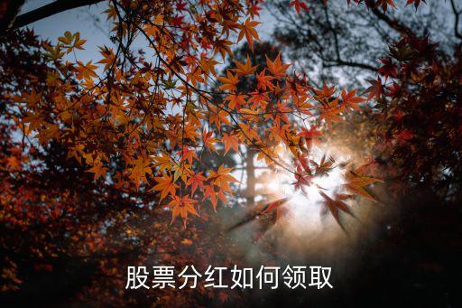 股票分紅如何領取