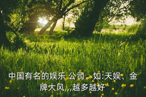 中國(guó)有名的娛樂 公司、如:天娛、金牌大風(fēng),,,越多越好