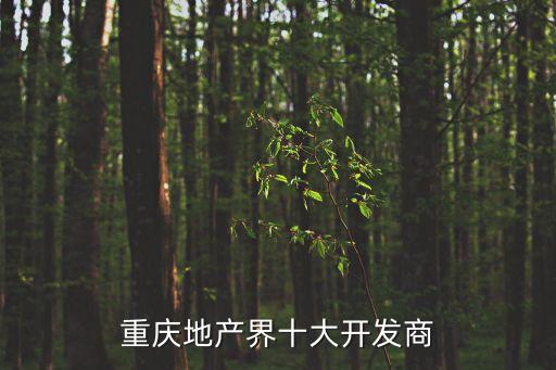 重慶地產(chǎn)界十大開(kāi)發(fā)商