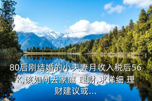 80后剛結(jié)婚的小夫妻月收入稅后56K,該如何去家庭 理財,求詳細(xì) 理財建議或...