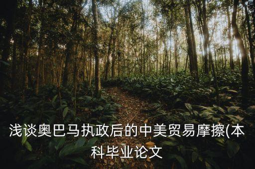 淺談奧巴馬執(zhí)政后的中美貿易摩擦(本科畢業(yè)論文