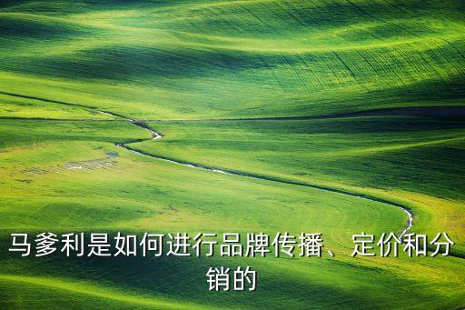 馬爹利是如何進(jìn)行品牌傳播、定價(jià)和分銷的