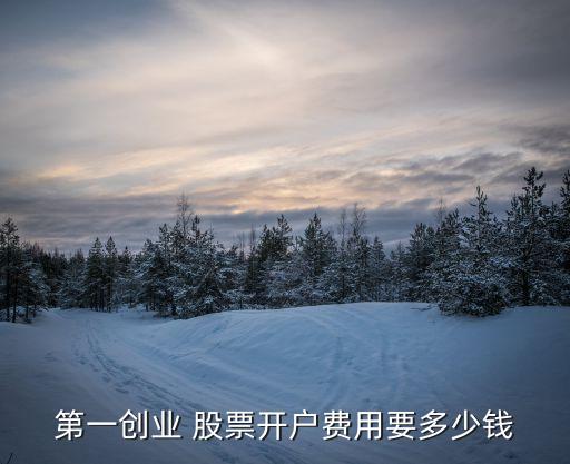 第一創(chuàng)業(yè) 股票開(kāi)戶(hù)費(fèi)用要多少錢(qián)