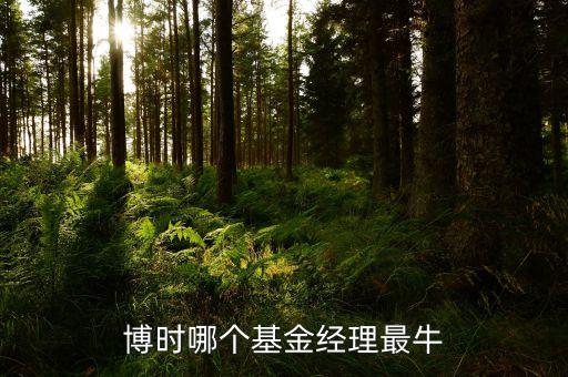 蒙能能源產業(yè)基金管理有限公司,內蒙古希望蒙能能源環(huán)境科技有限公司