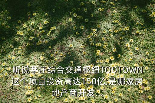 聽說莘莊綜合交通樞紐TODTOWN這個項目投資高達(dá)150億,是哪家房地產(chǎn)商開發(fā)...