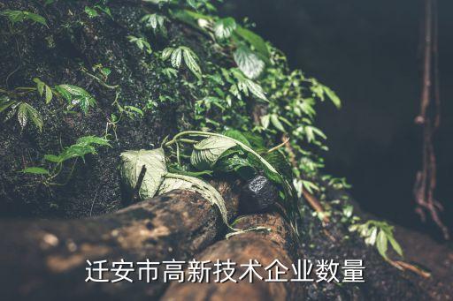 同益實業(yè)集團(tuán)有限公司,寧夏天地奔牛實業(yè)集團(tuán)有限公司