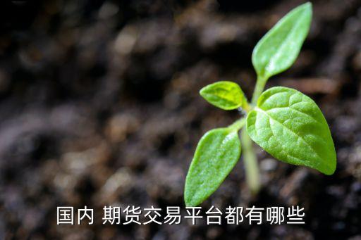 國內 期貨交易平臺都有哪些