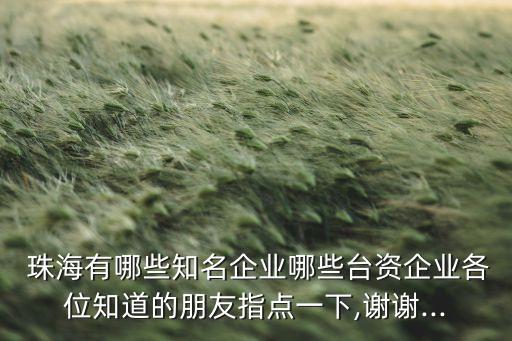 珠海領先動力投資