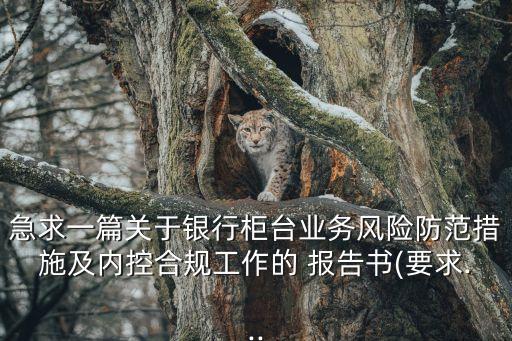 急求一篇關(guān)于銀行柜臺業(yè)務(wù)風(fēng)險(xiǎn)防范措施及內(nèi)控合規(guī)工作的 報(bào)告書(要求...