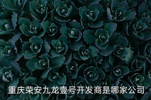 重慶長商投資,重慶發(fā)展投資集團(tuán)