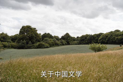 關于中國文學