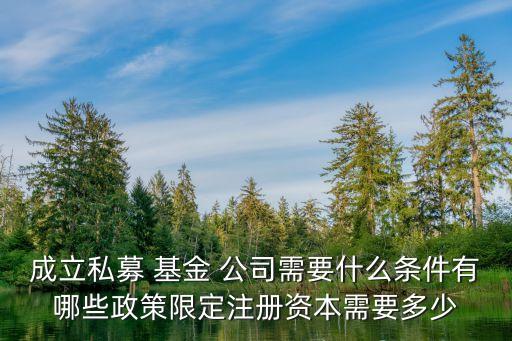 房地產(chǎn)基金公司設(shè)立的問(wèn)題,中國(guó)房地產(chǎn)基金公司
