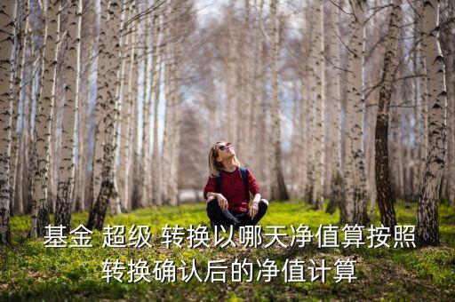  基金 超級 轉換以哪天凈值算按照 轉換確認后的凈值計算