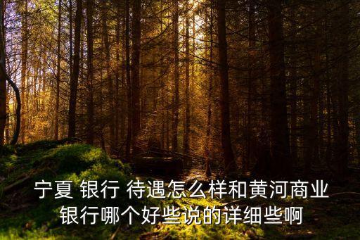  寧夏 銀行 待遇怎么樣和黃河商業(yè) 銀行哪個(gè)好些說(shuō)的詳細(xì)些啊