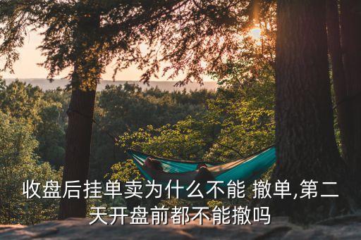 股票賣(mài)出委托可撤單嗎,股票委托撤單為什么撤不了
