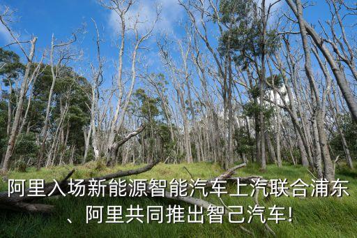 阿里入場(chǎng)新能源智能汽車上汽聯(lián)合浦東、阿里共同推出智己汽車!