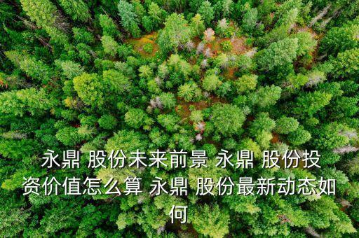  永鼎 股份未來前景 永鼎 股份投資價(jià)值怎么算 永鼎 股份最新動態(tài)如何