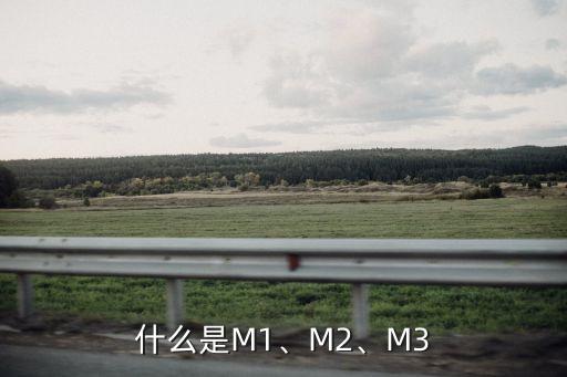 什么是M1、M2、M3