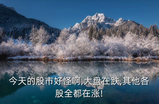 今天的股市好怪啊,大盤在跌,其他各股全都在漲!