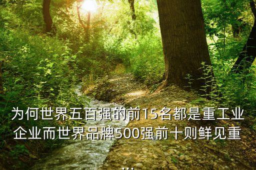 為何世界五百?gòu)?qiáng)的前15名都是重工業(yè)企業(yè)而世界品牌500強(qiáng)前十則鮮見重...