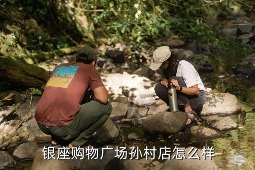 銀座集團(tuán)盈利嗎,南水北調(diào)集團(tuán)如何盈利