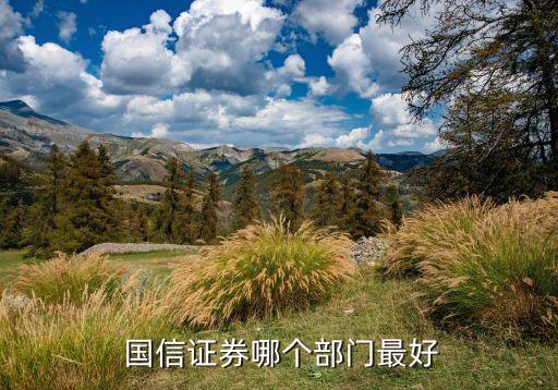  國(guó)信證券哪個(gè)部門最好