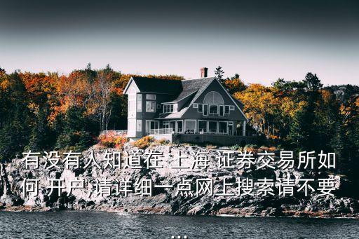 有沒有人知道在 上海 證券交易所如何 開戶,請詳細一點網上搜索請不要...