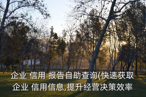 企業(yè) 信用 報(bào)告自助查詢(快速獲取企業(yè) 信用信息,提升經(jīng)營決策效率