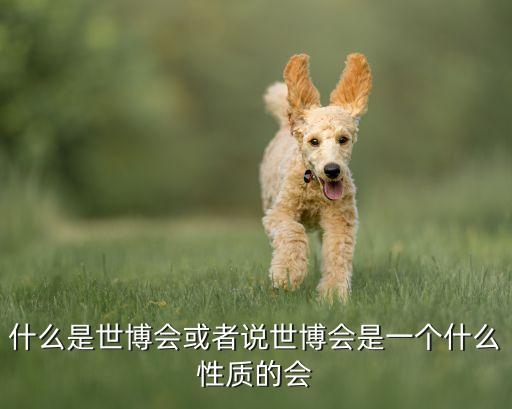 什么是世博會或者說世博會是一個什么性質的會