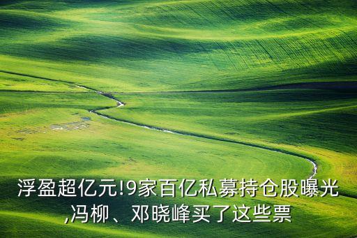 浮盈超億元!9家百億私募持倉股曝光,馮柳、鄧曉峰買了這些票