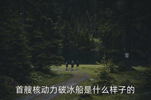 中國海上浮動(dòng)核電站,海上浮動(dòng)核電站是核反應(yīng)堆和船舶工程
