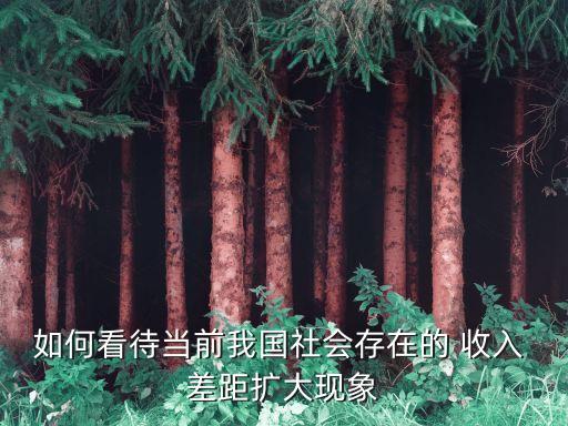 如何看待當(dāng)前我國社會(huì)存在的 收入 差距擴(kuò)大現(xiàn)象
