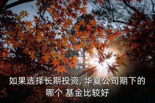 如果選擇長期投資, 華夏公司期下的哪個(gè) 基金比較好