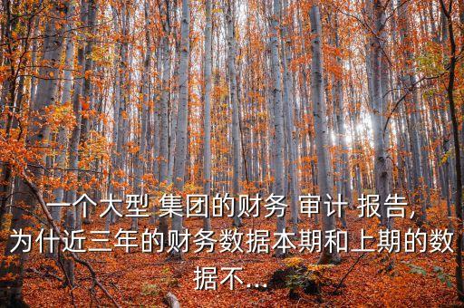 一個大型 集團(tuán)的財務(wù) 審計 報告,為什近三年的財務(wù)數(shù)據(jù)本期和上期的數(shù)據(jù)不...
