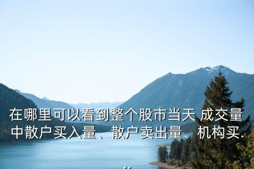 在哪里可以看到整個(gè)股市當(dāng)天 成交量中散戶買入量、散戶賣出量、機(jī)構(gòu)買...