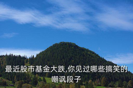 最近股市基金大跌,你見(jiàn)過(guò)哪些搞笑的嘲諷段子